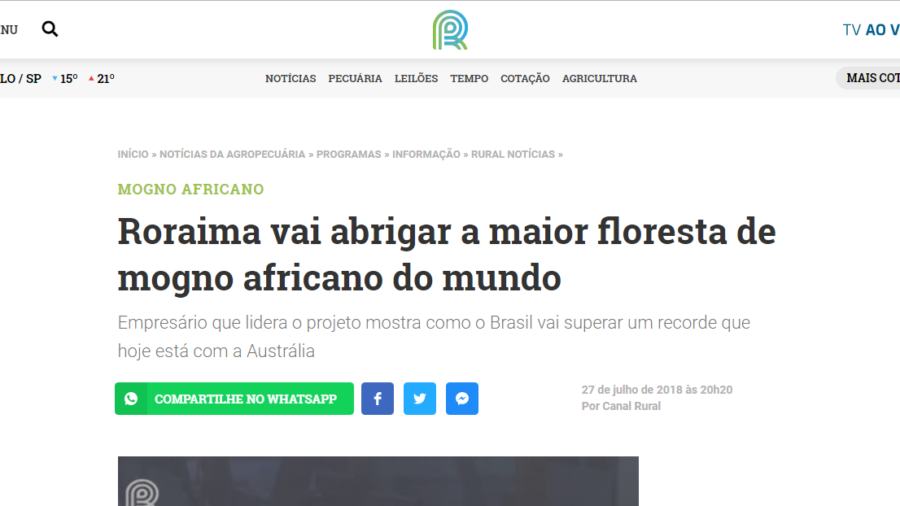 Roraima vai abrigar a maior floresta de mogno africano do mundo