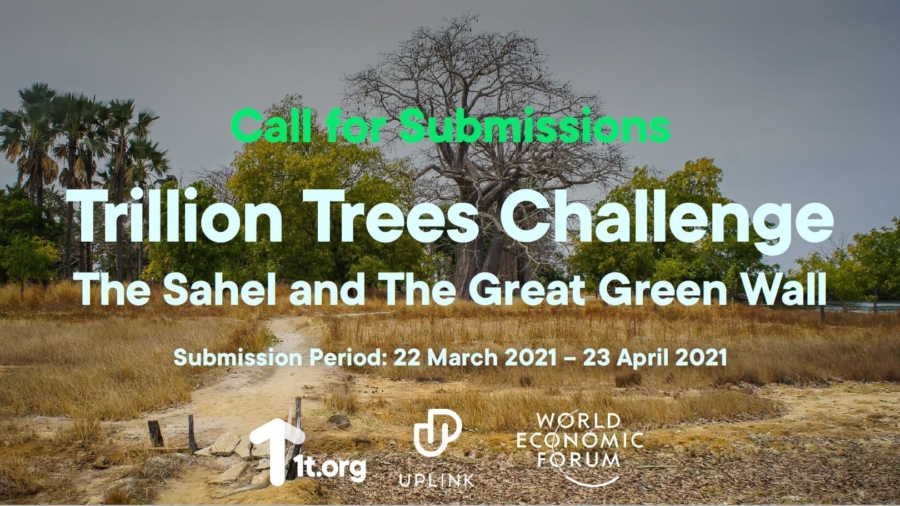 Trillion_Trees_Challenge