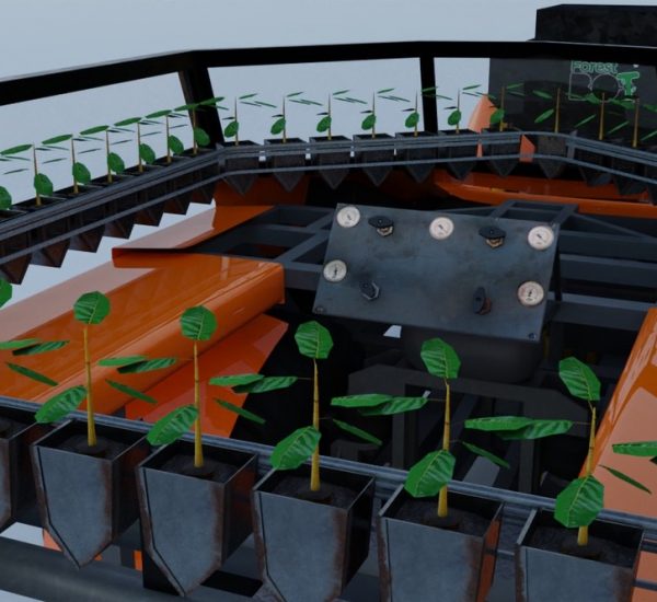 machine-iplantforest-2021-mahogany-roraima (52)